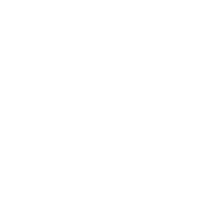 logo schwenker