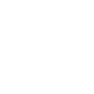 Logo von NWM in einem stilisierten rechteckigen Rahmen.
