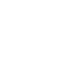 Logo von Ditschun in weißer Schrift auf schwarzem Hintergrund.