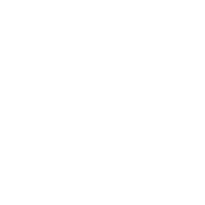 Das Logo von „Hesemann“ zeigt den Firmennamen in einer stilisierten, kursiven Schrift mit einem umlaufenden Rand.