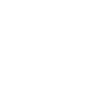 Logo der Marke Leos Pure Jeans in weißer Schrift auf transparentem Hintergrund.