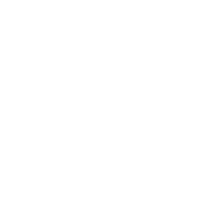 SW Stahl Logo - Profi-Tools