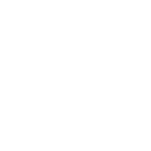 Vecon-Logo mit weißem Schriftzug und stilisiertem Symbol