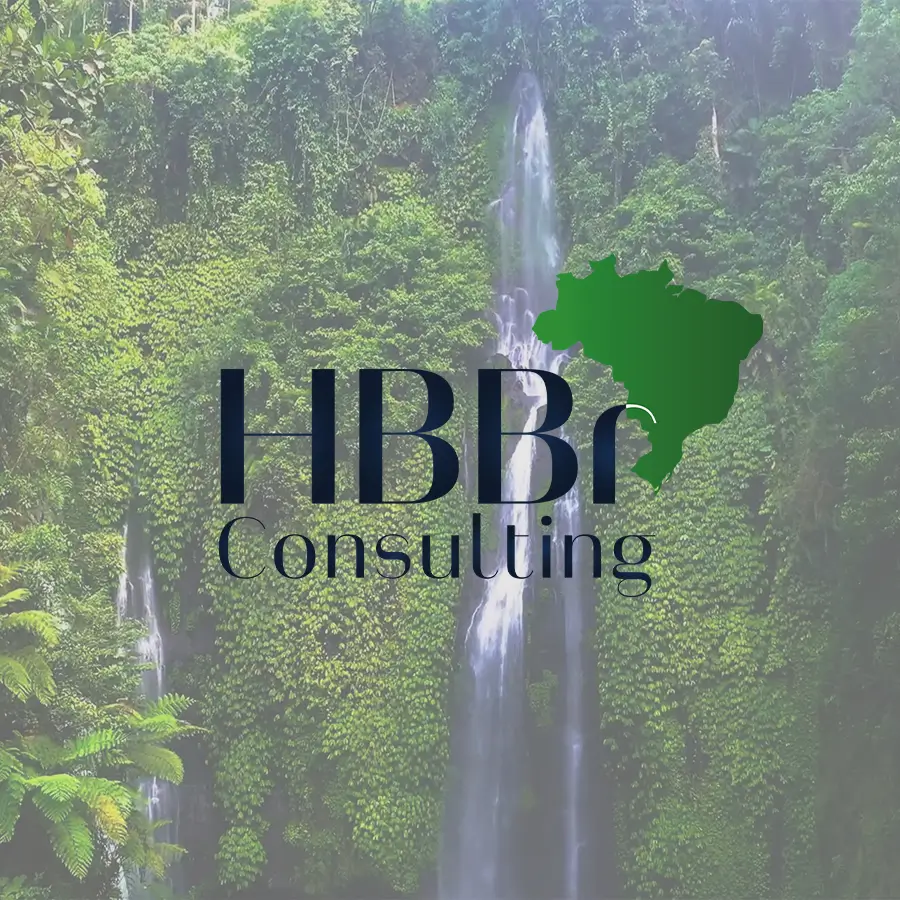 Logo und Onepager von HBBr Consulting
