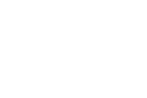 velitas_logo_weiß